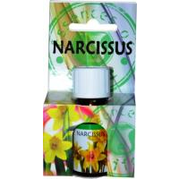 Aromatický olej Narcis 10ml