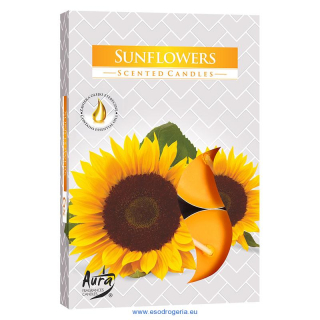 Bispol čajové sviečky Sunflowers 6ks